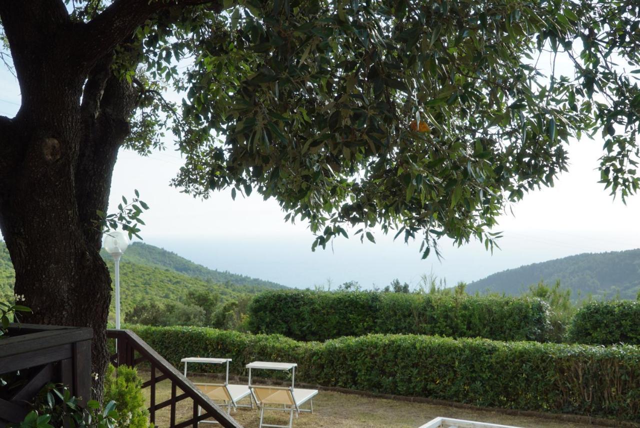 B&B Il Piccolo Paradiso Montenero  Exteriér fotografie
