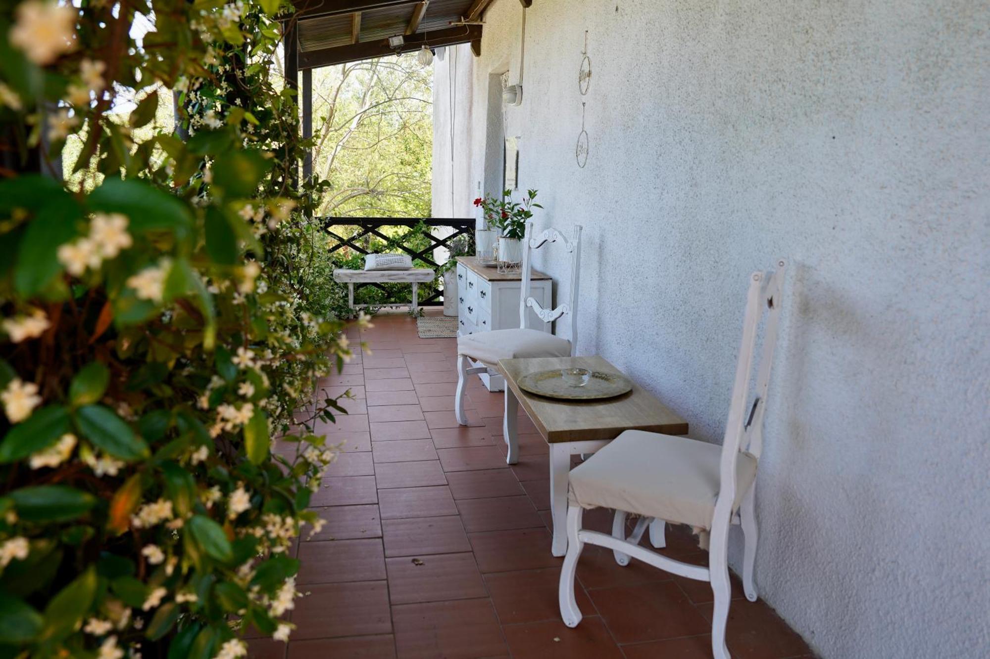 B&B Il Piccolo Paradiso Montenero  Exteriér fotografie